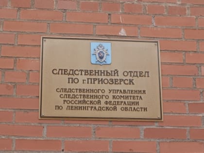 В Приозерском районе по факту травмирования несовершеннолетней возбуждено уголовное дело