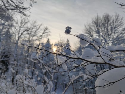 Соревнования «Лыжня зовет» во Всеволожске перенесли из-за непогоды