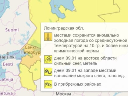 Предупреждение об аномальных морозах объявлено в Ленобласти