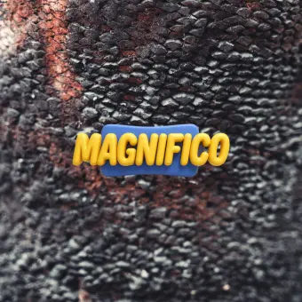 Magnifico Selection #1