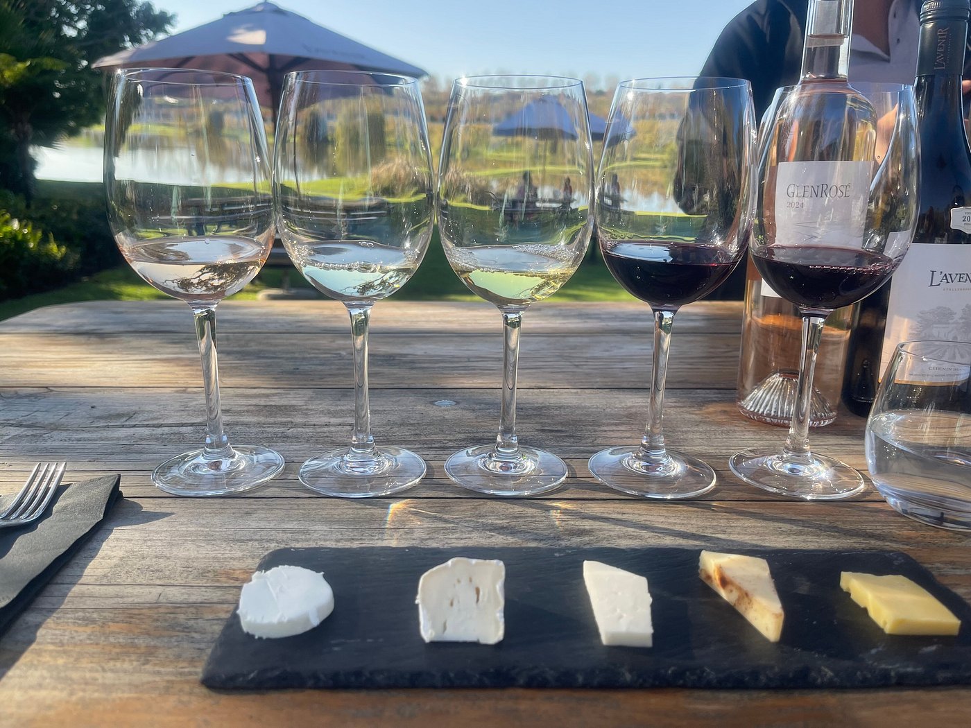 Vineyard Experience & Wine Tasting