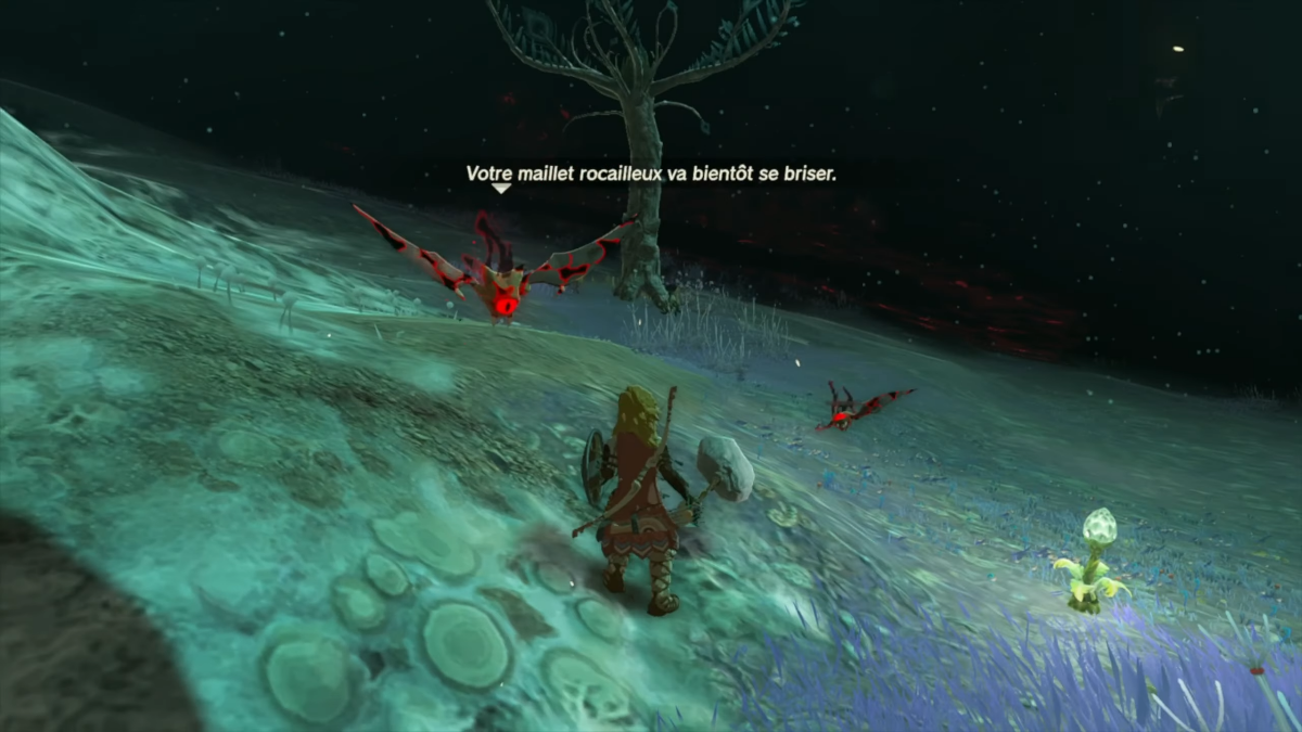 Screenshot Zelda Tears of the Kingdom