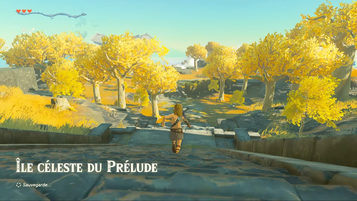 Screenshot Zelda Tears of the Kingdom