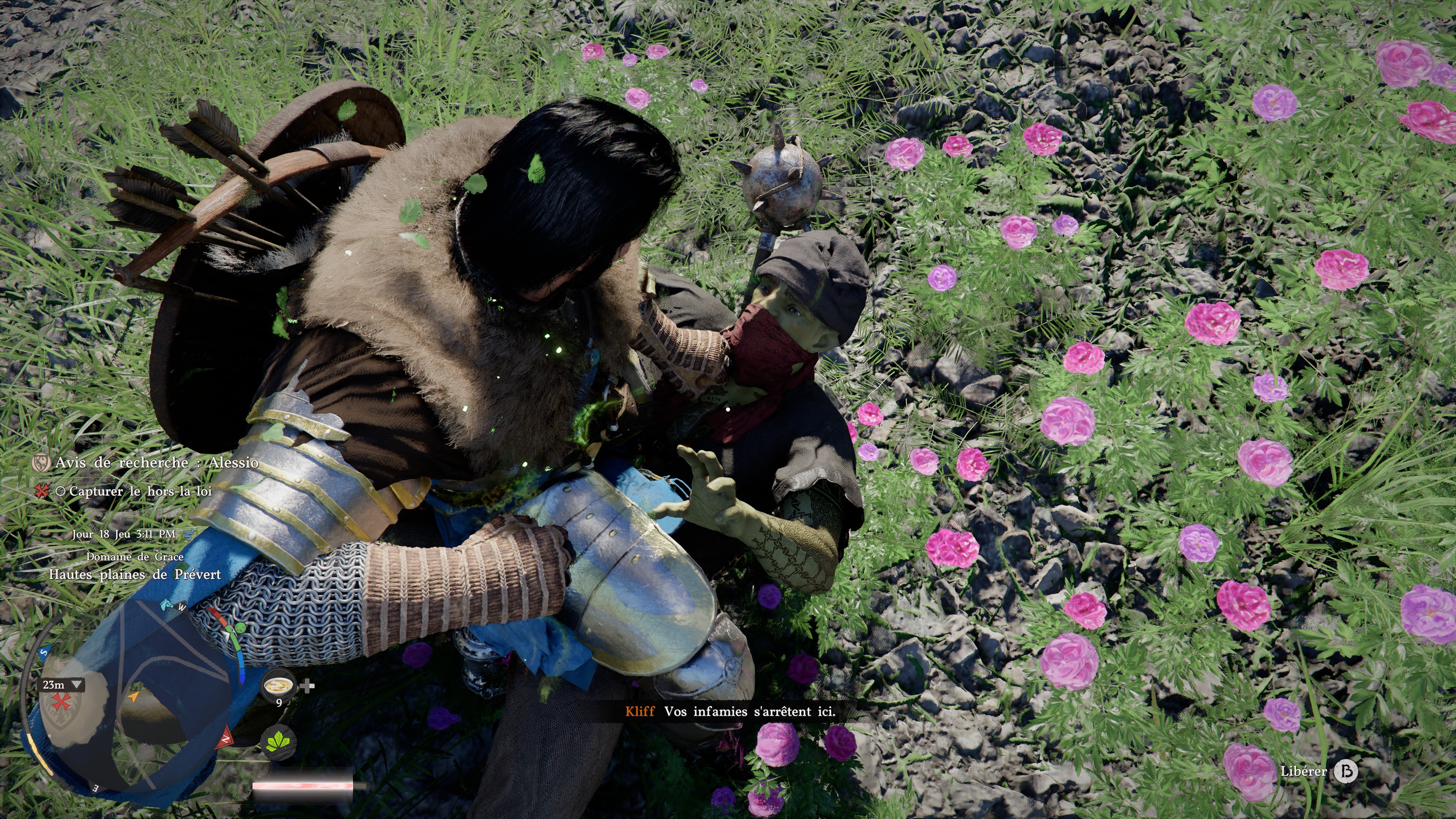Crimson Desert Screenshot