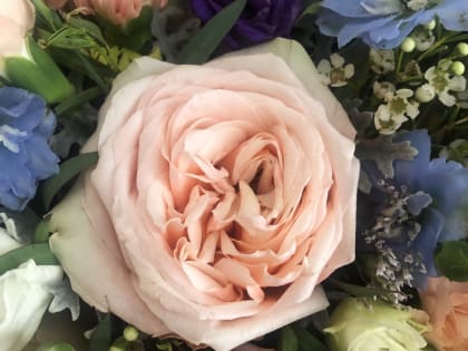 Редакция ИА «Великий Новгород.Ру» поздравляет