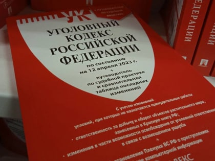 Неоднократно судимый сольчанин проведёт в колонии полтора года за кражи из частных домов