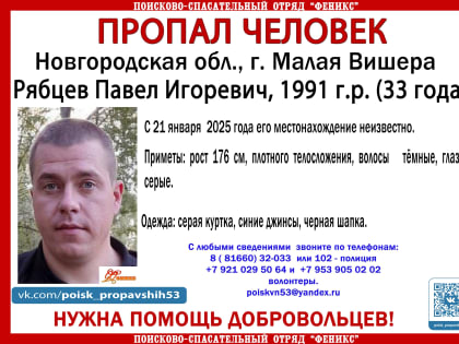 В Малой Вишере идут поиски 33-летнего мужчины