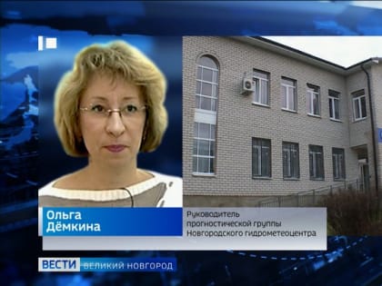 На следующей неделе на погоду в Новгородской области будет оказывать влияние антициклон
