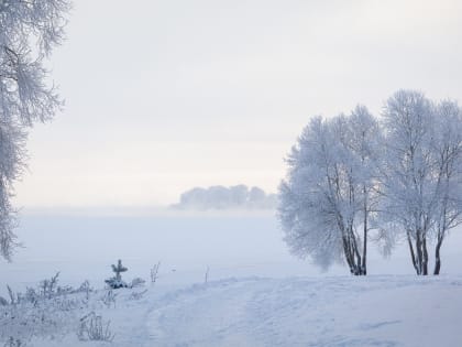 Небольшой снегопад ожидается в Новгородской области сегодня