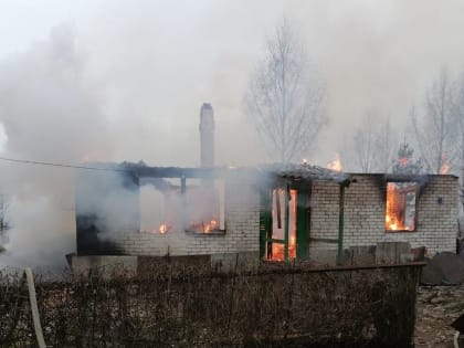 Следователи выясняют обстоятельства гибели человека на пожаре в Батецком районе