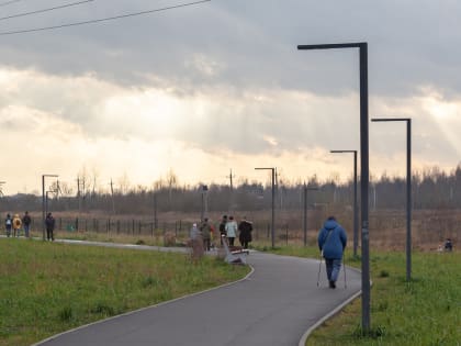 Новгородцев приглашают принять участие в голосовании за объекты благоустройства