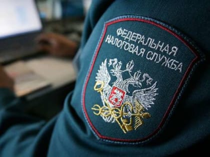 Налоговая служба в Новгородской области будет принимать посетителей только по предварительной записи