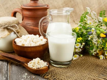 Продукты пробиотики и пребиотики: в чем разница?