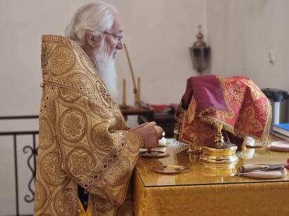 Митрополит Лев совершил Литургию в день памяти целителя Пантелеимона