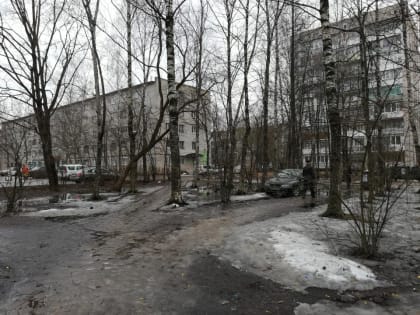 В Мирном сквере появится арт-объект «Дерево»