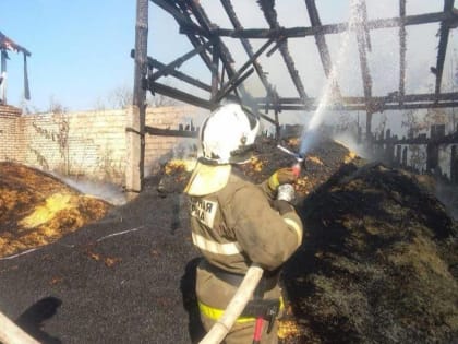 В Пестове пожарные тушили горящие дрова в доме и хозпостройки