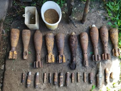 В сарае жителя Холма нашли боеприпасы времён Великой Отечественной войны