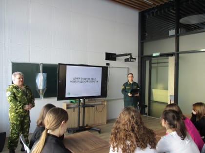 Детям о лесе