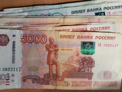 В посёлке Хвойная пестовские полицейские задержали 19-летнего курьера мошенников