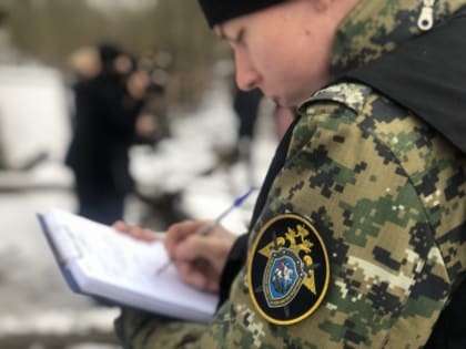 В деревне Давыдово Старорусского района после распития спиртных напитков мужчина убил знакомого из ружья