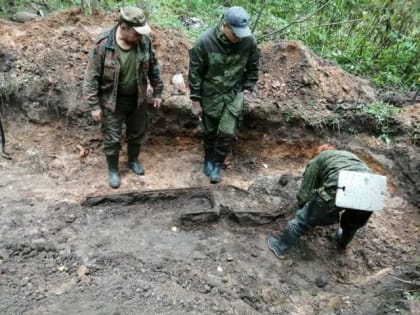 Во время Вахты памяти в Новгородской области поисковики подняли останки более 500 красноармейцев