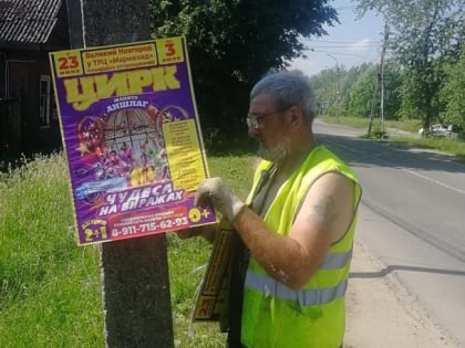 Новгородская мэрия настроит робота на борьбу с нелегальной рекламой