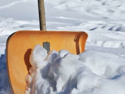 Новгородская мэрия планирует убирать 30-40% городской территории своими силами