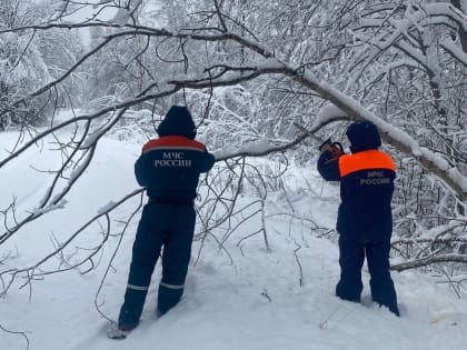 Без электричества в Новгородской области остаются 4300 человек