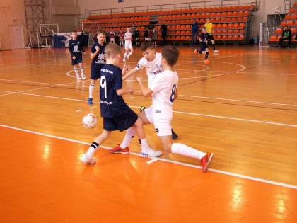 ПЕРВЕНСТВО НОВГОРОДСКОЙ ОБЛАСТИ ПО МИНИ-ФУТБОЛУ СРЕДИ ДЕТСКО-ЮНОШЕСКИХ КОМАНД СЕЗОНА 2022-2023 Г.Г.