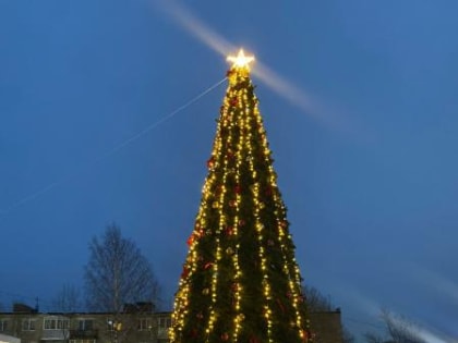 Завершены работы по монтажу и украшению новогодней ели