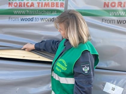 С января по сентябрь из Новгородской области отправили на экспорт более 288 тысяч кубометров лесопродукции