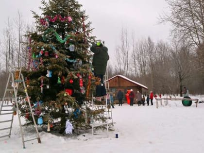 Ёлку в парке Красное поле новгородцы украшали вместе с Дедом Морозом