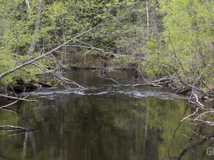 Продолжается расчистка русла реки Полометь