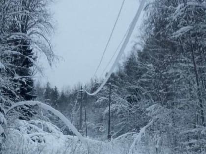 В Новгородской области в зоне отключения электроэнергии находятся 62 населенных пункта