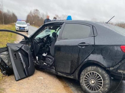 В ГИБДД рассказали обстоятельства ДТП с тремя погибшими в Старорусском районе