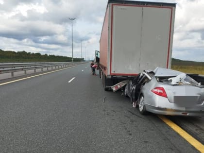 На М-11 в Чудовском районе в ДТП с фурой пострадали трое взрослых и подросток