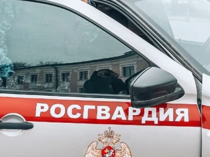 Новгородские росгвардейцы задержали мужчину после срабатывания тревожной кнопки в «Катарсисе»