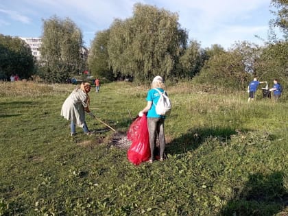 Сделаем берег Волхова чище!