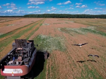Поддержка малых форм хозяйствования в условиях низкой бюджетной обеспеченности