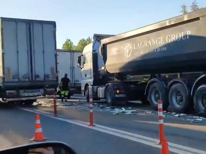 На М-10 «Россия» в Крестецком округе столкнулись четыре фуры