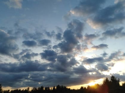 В конце недели в Новгородскую область придут дожди и грозы