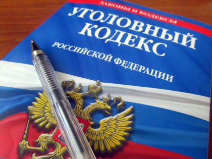 За год в Новгородской области снизилось число преступлений