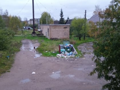 Проблема невывоза мусора в Малой Вишере решается