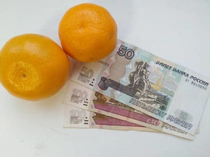 С 2026 года жители Новгородской области начнут получать семейную налоговую выплату