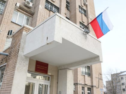 Мать двоих детей из Новгородского района получила срок за неуплату алиментов