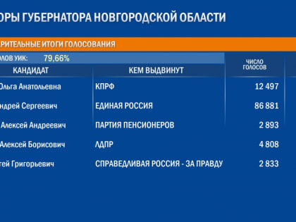 Ольга Ефимова сократила отрыв от Андрея Никитина после обработки 79,66% протоколов