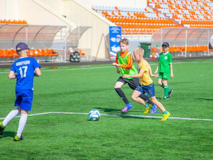 В Великом Новгороде дали старт «Спортивному лету»