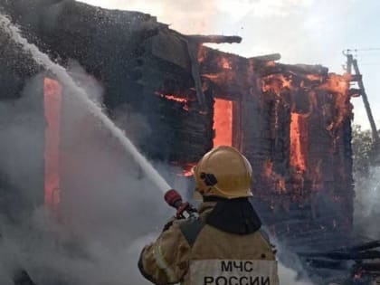 В новгородской деревне Подберезье сгорели дом и хозпостройка