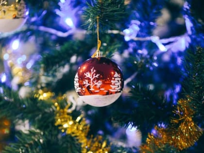 Коммунальщики спасли главную новогоднюю ель Великого Новгорода