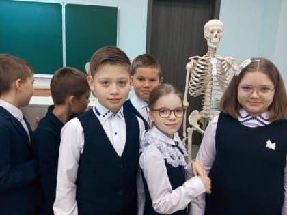 В школе № 37 в рамках нацпроекта открылся кабинет "Юный исследователь"